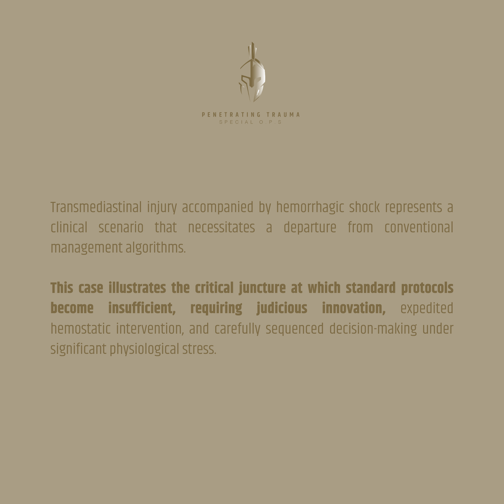 Case 2 (EN): Transmediastinal Trauma with Aortic Arch Injury